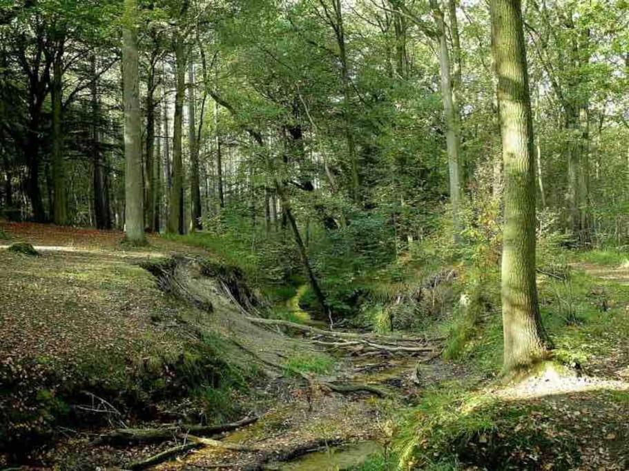 Chalé Bos “meibloempje” Lanaken