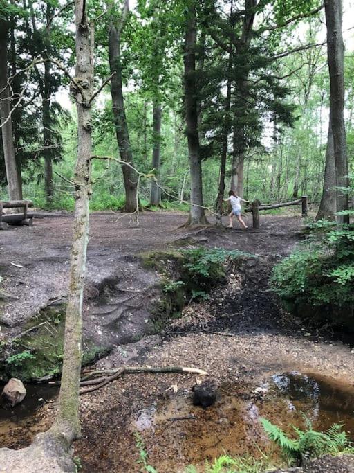 Bos “meibloempje” *