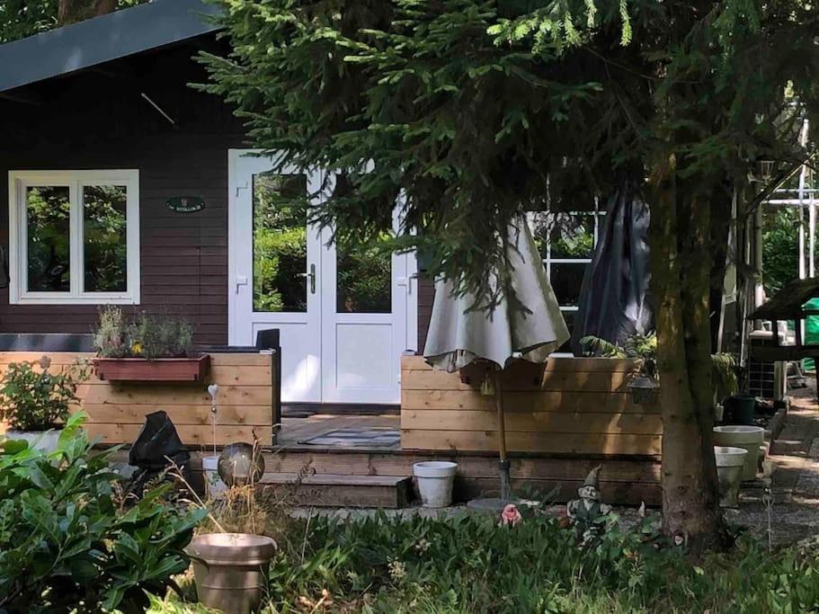 Bos “meibloempje” Chalé Lanaken