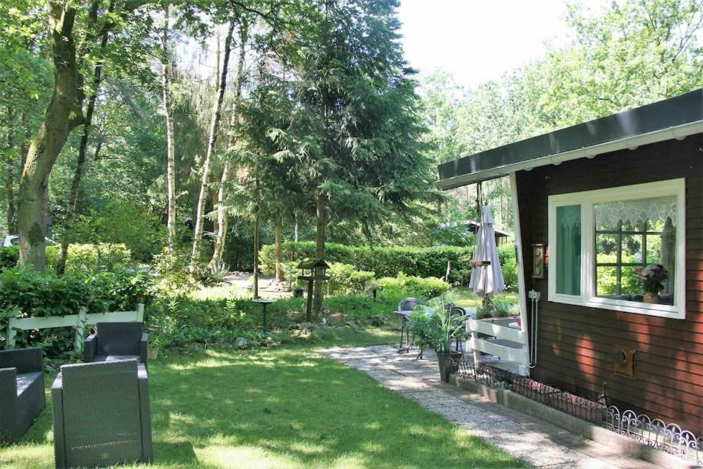 Bos “meibloempje” Lanaken