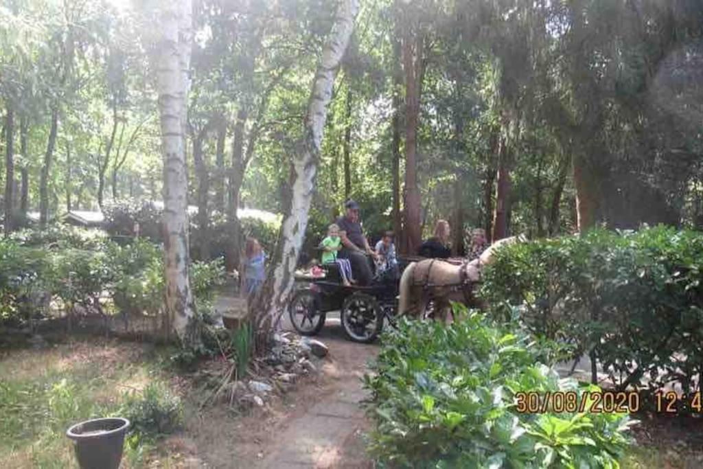 Chalé Bos “meibloempje”
