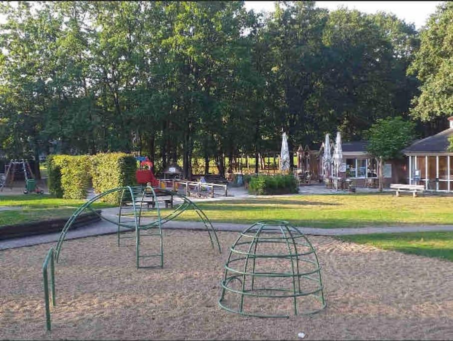 Bos “meibloempje” * Lanaken