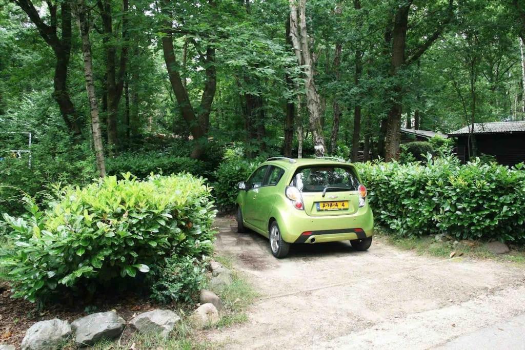 Chalé Bos “meibloempje” Lanaken