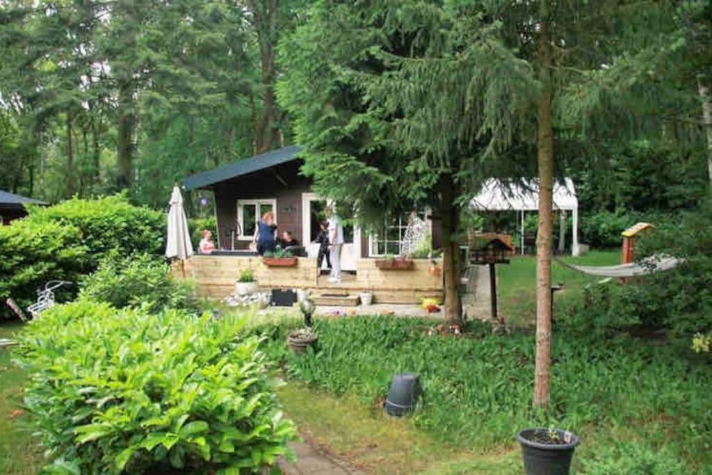 Bos “meibloempje” Chalé