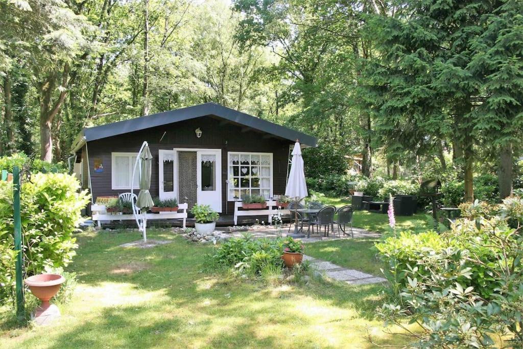 Chalé Bos “meibloempje” Lanaken